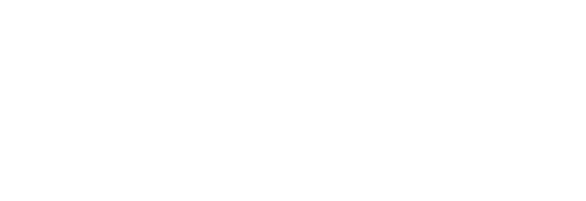 Mbility S.r.l. trasporti per disabili e persone con difficoltà motorie